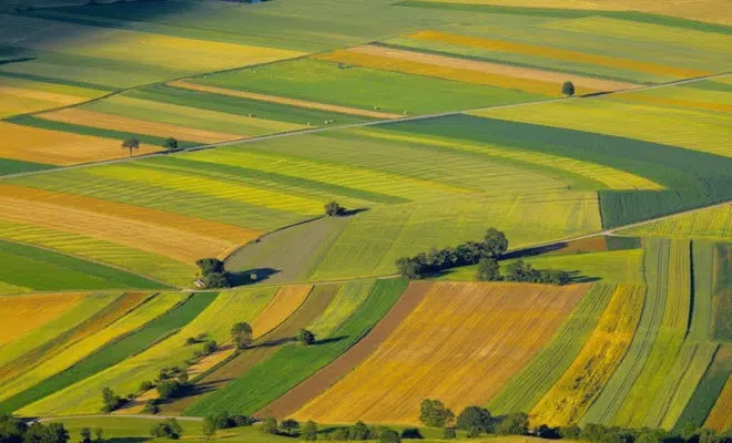 France Agriculture