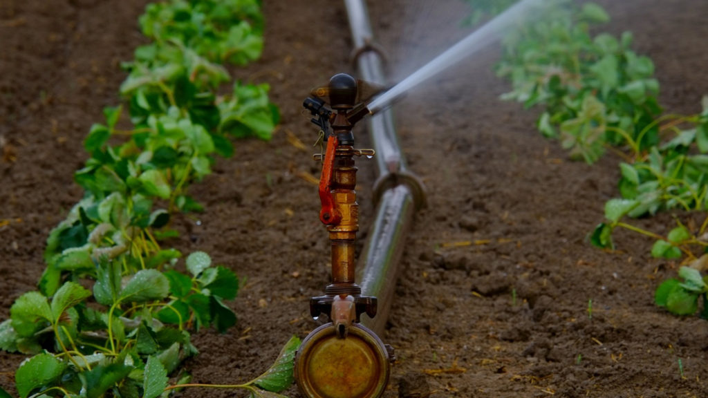Comment bien faire choisir un système d’irrigation
