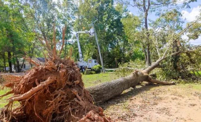 Tempête et grêle : les erreurs à éviter lors de l'expertise de votre toiture
