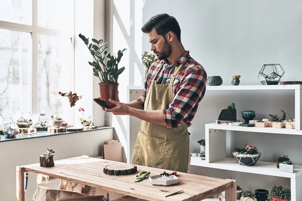 avantages micro-entreprise