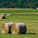 batiments agricoles photovoltaiques