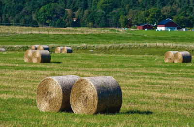 batiments agricoles photovoltaiques