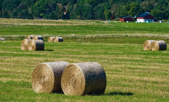 batiments agricoles photovoltaiques