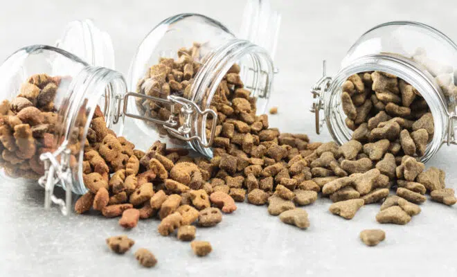 cbd pour animaux