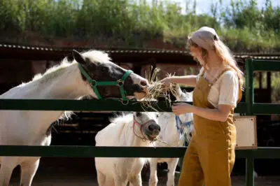 cheval