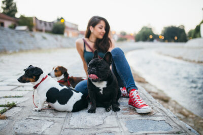 chiens