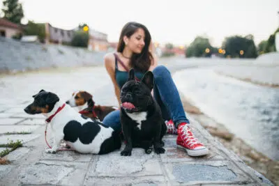 chiens