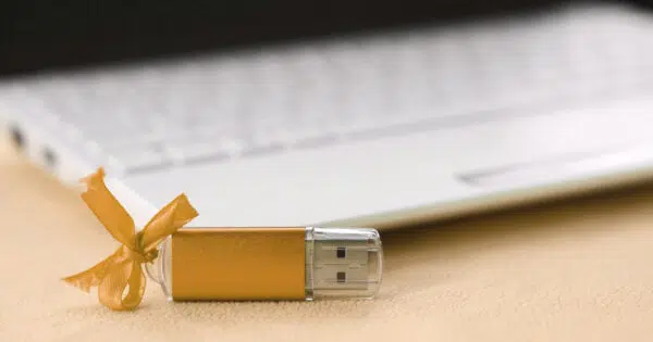 clé USB personnalisée en bois