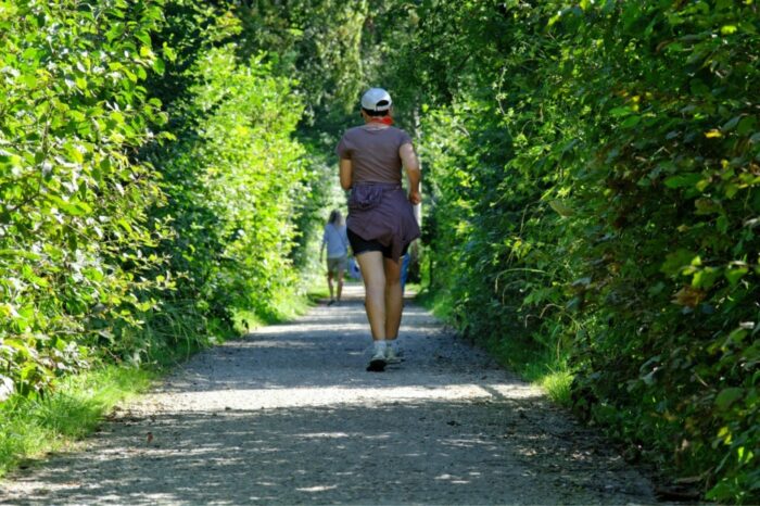 la nature, en marchant, la personne, Piste, sport, courir, des loisirs, vert, parc, le jogging, joggeur, loisir, des sports, un moyen, Soyez bénis, aller, récupération, faire du jogging, loisirs de plein air