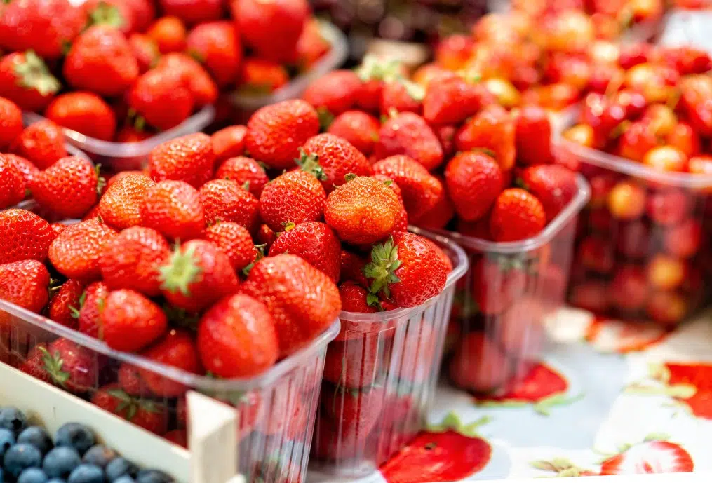 emballage alimentaire