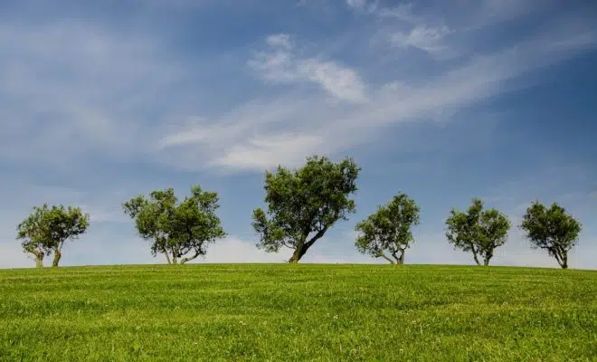 emballage biodégradable