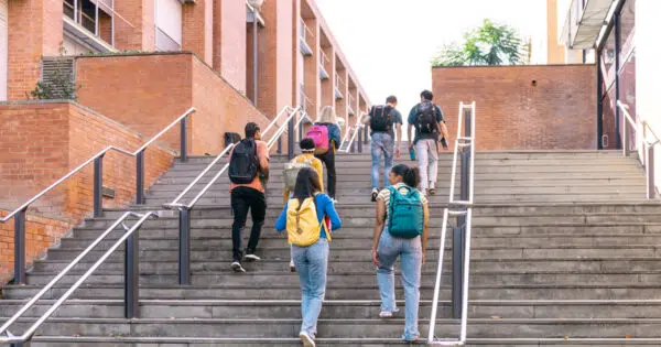 nez de marche sur escalier