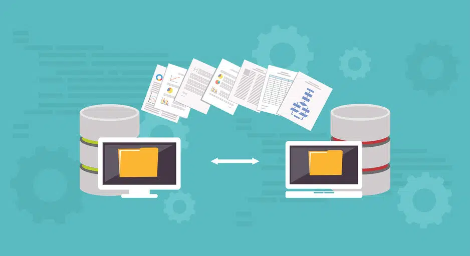 gestion des ressources humaines