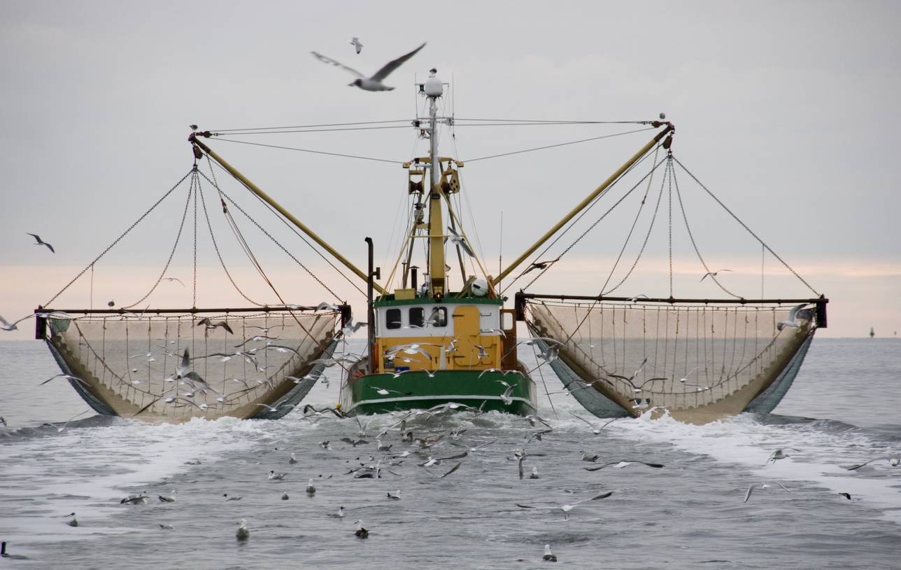 bateau de pêche les équipements