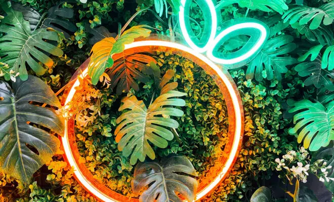 néon LED