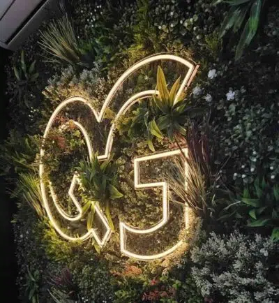 neon led