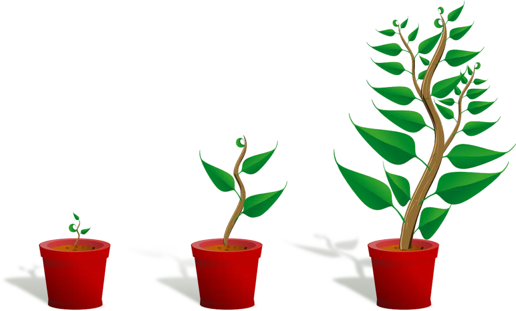 offrir un arbre