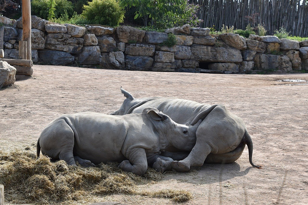 parc animalier