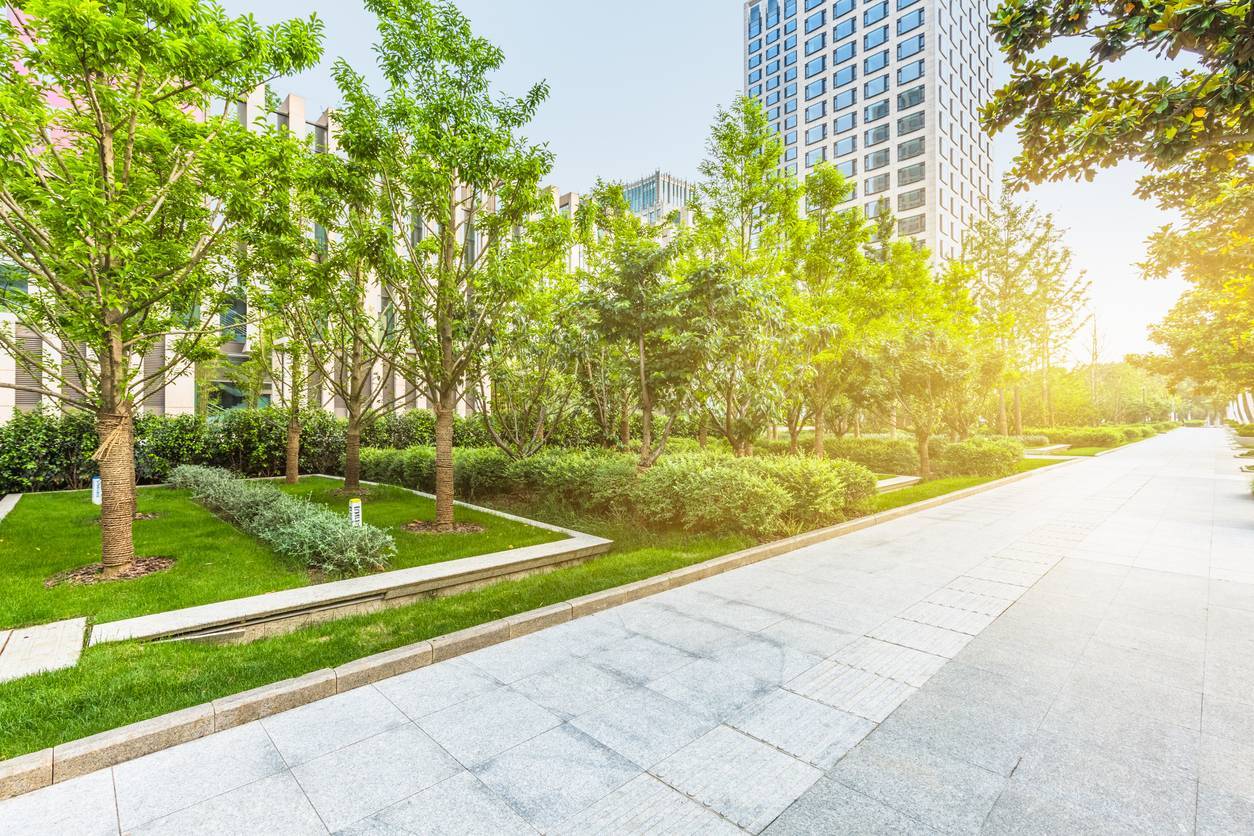 embellir les parterres des arbres en ville revêtement écologique