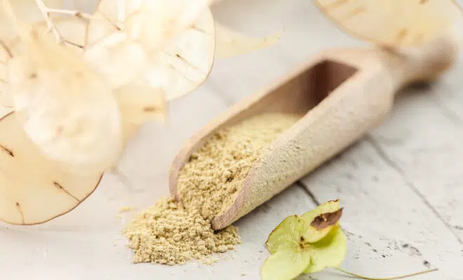 produits ayurvédiques