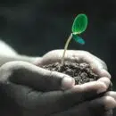sauvegarder la forêt