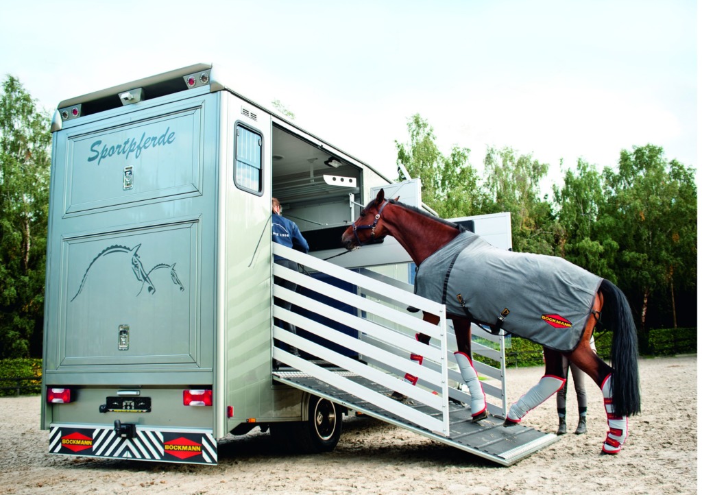 transport de chevaux