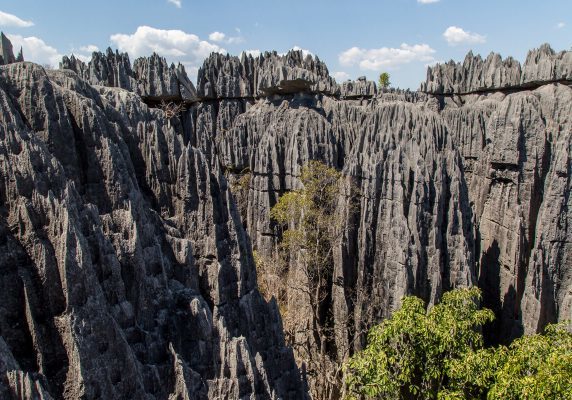 le fameux tsingy de bemaraha