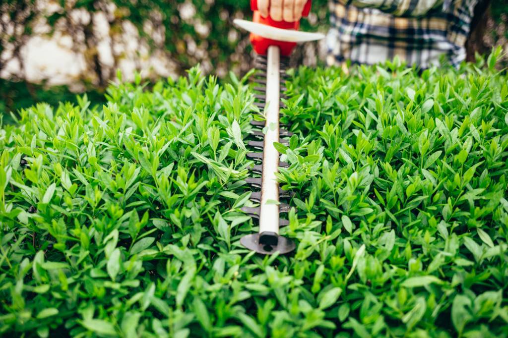 entretien d'un jardin