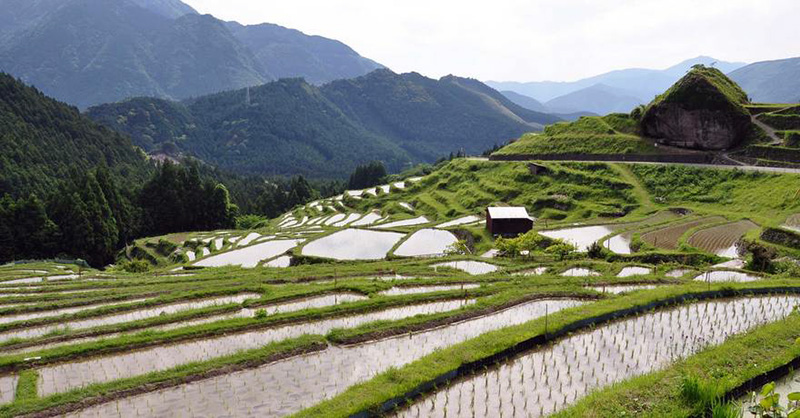 Voyage au Japon