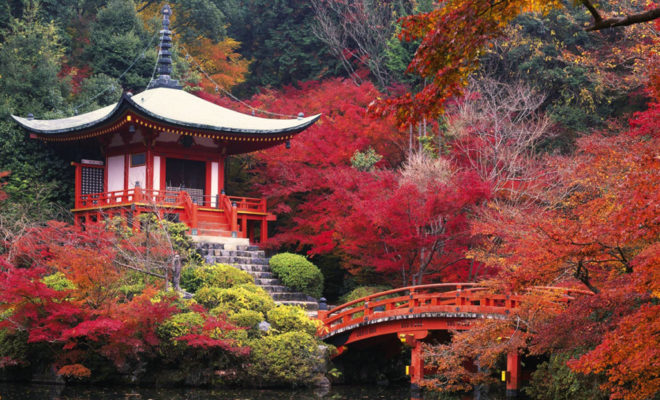 Faire un voyage au Japon